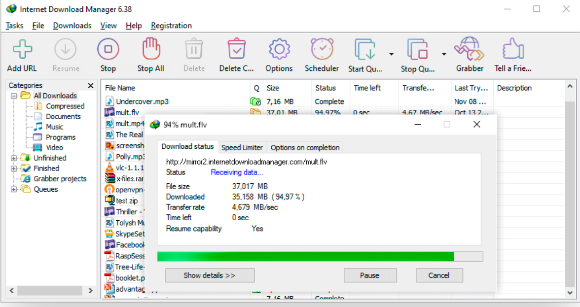 Internet Download Manager screenshot