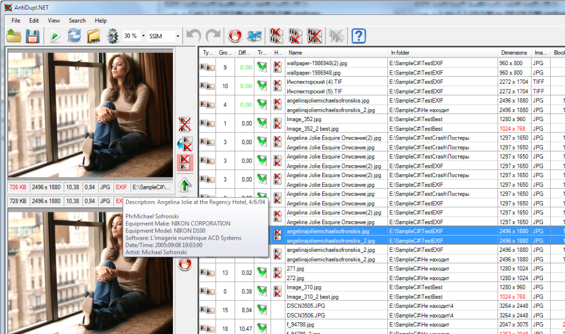 AntiDupl.NET screenshot