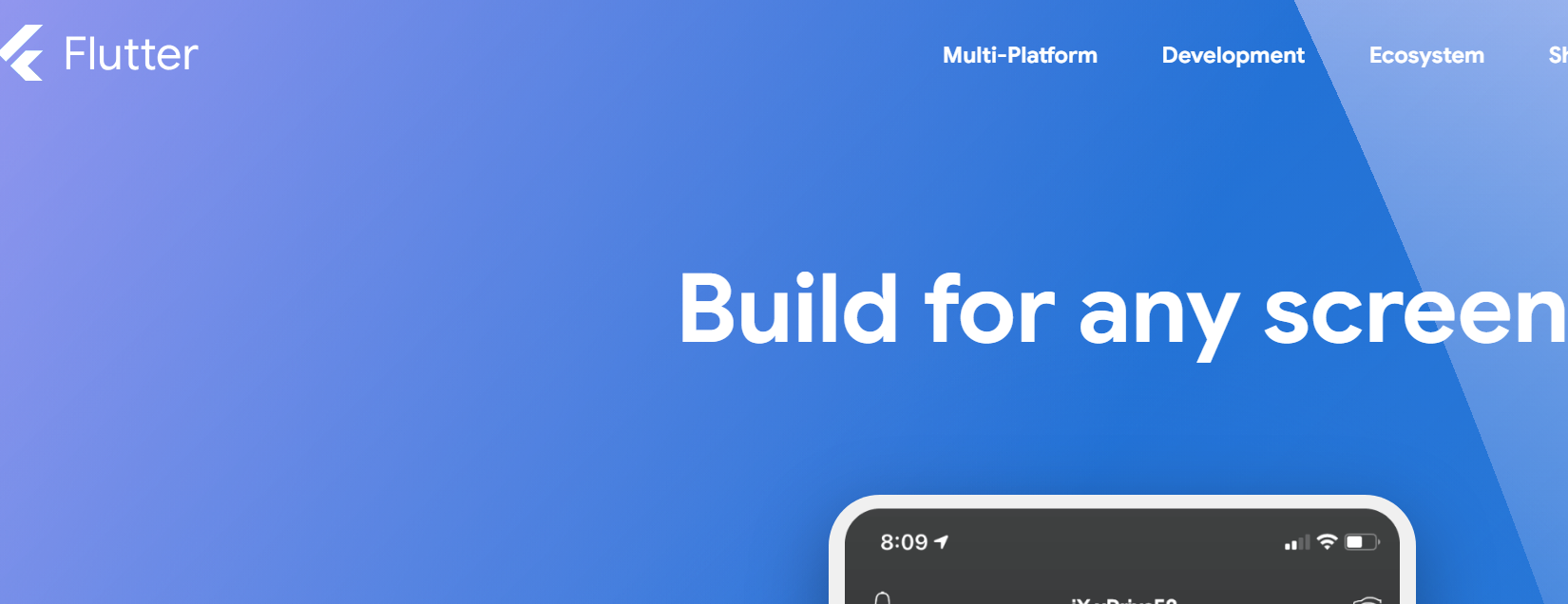 Flutter screenshot